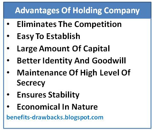 Advantages Of Holding Company Benefits Drawbacks